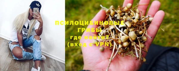 скорость Алексин