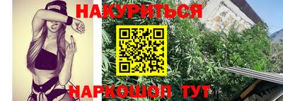 Альфа ПВП Ярославль
