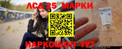 Альфа ПВП Ярославль