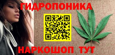 Альфа ПВП Ярославль