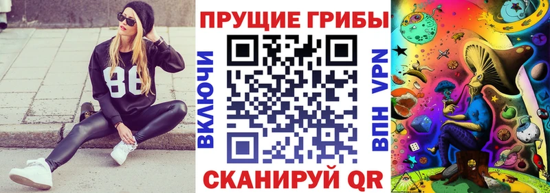 Псилоцибиновые грибы GOLDEN TEACHER Краснокамск